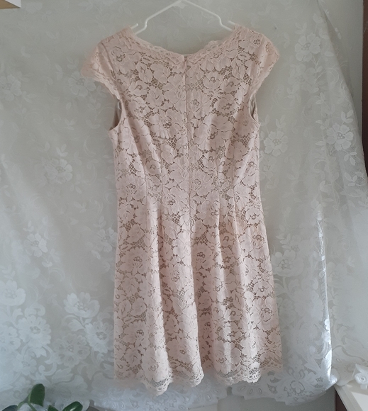 Vince camuto summer dress 8 blushing pink lace algodon cotton zip up lined - Picture 3 of 7
